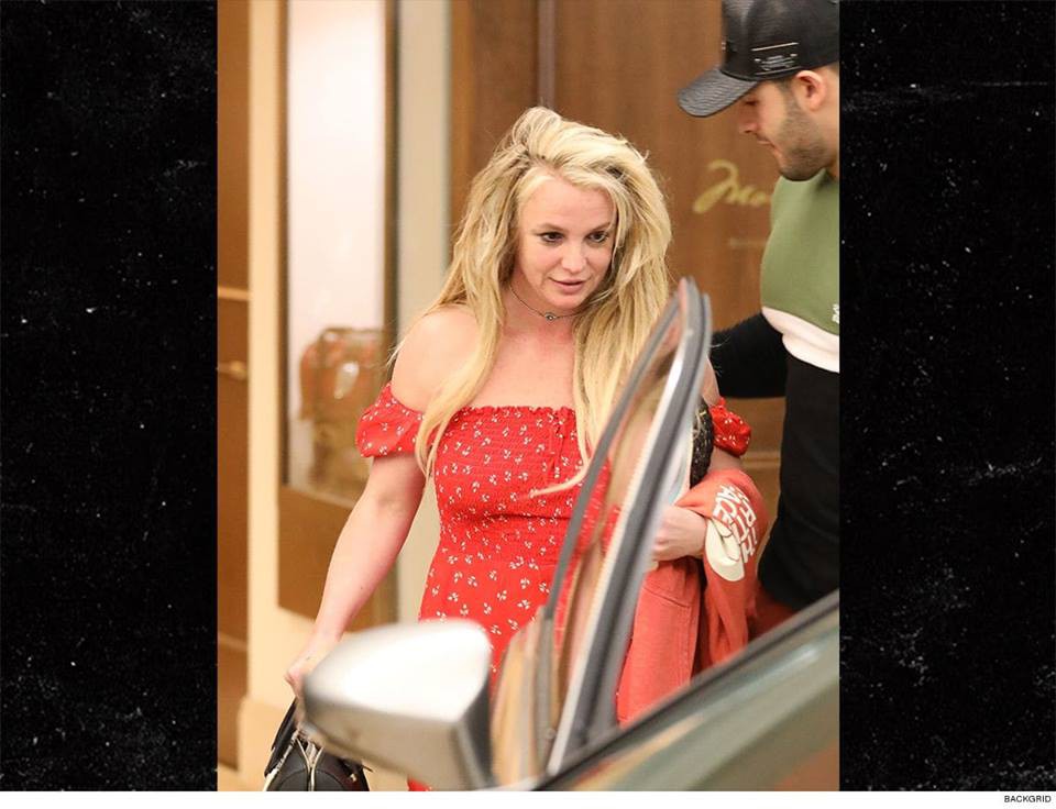 Fan Britney Spears yêu cầu gia đình thả tự do cho công chúa nhạc Pop sau 11 năm quản thúc - Ảnh 3.