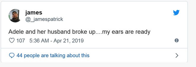 Phản cảm việc fan ăn mừng Adele li hôn - Ảnh 3.