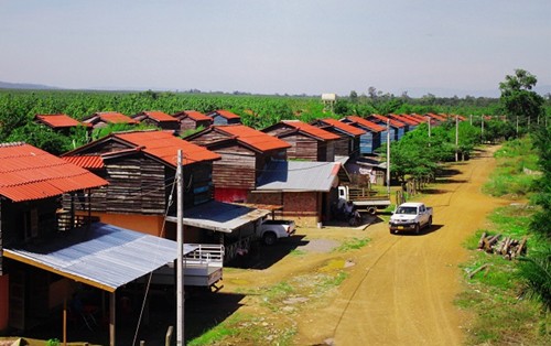 Chủ tịch Thaco mua 20.000 ha đất của bầu Đức - Ảnh 1. Chủ tịch Thaco mua 20.000 ha đất của bầu Đức - Ảnh 1.