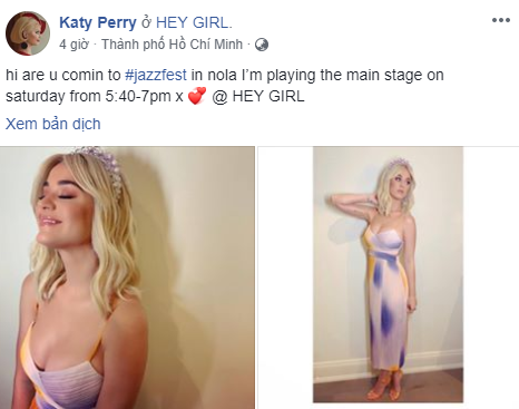 Ca sĩ Katy Perry bí mật sang Việt Nam? - Ảnh 1.