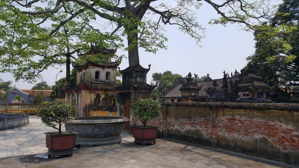 Dọa thả chó cắn nát mặt phật tử, sư trụ trì bị kỷ luật - Ảnh 1.