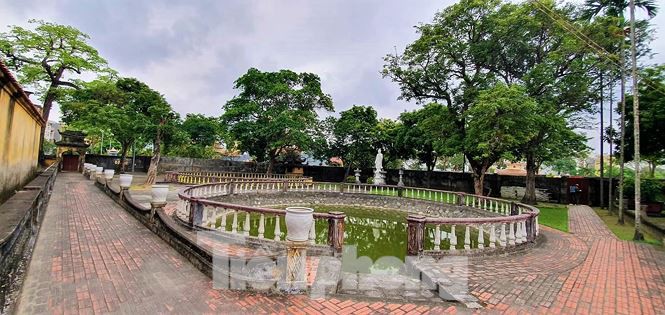Sau dọa thả chó cắn nát mặt phật tử, sư trụ trì nói gì? - Ảnh 4.