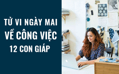 Tử vi ngày mai (27/4/2019) về công việc của 12 con giáp: Tuổi Ngọ làm việc độc lập