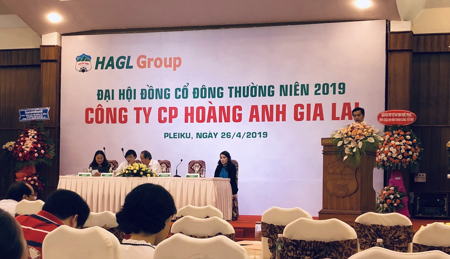 Lợi nhuận quý đầu năm 2019 của Hoàng Anh Gia Lai âm, bầu Đức nói nếu có tiền sẽ mua cổ phiếu - Ảnh 1.