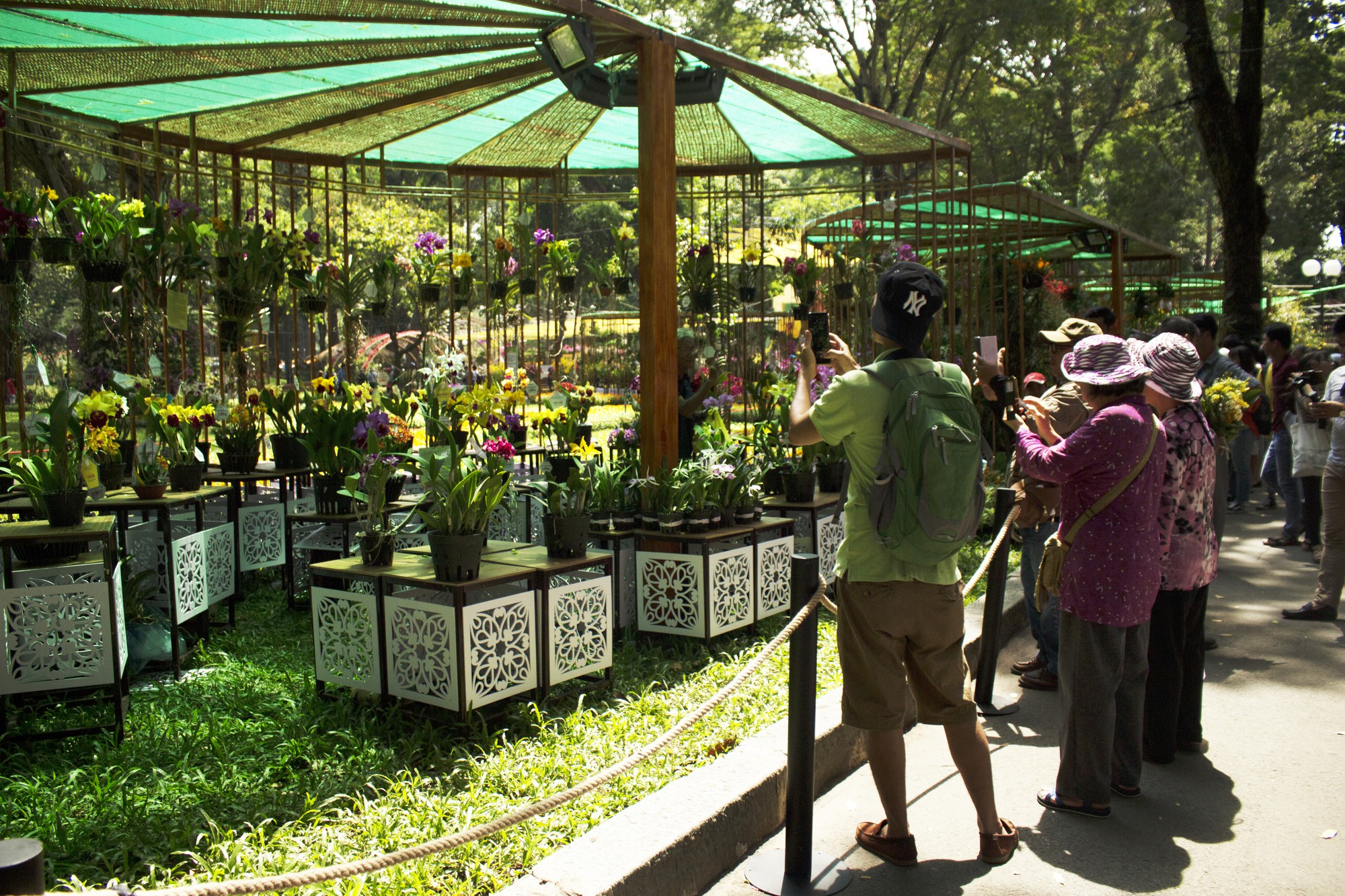 Hàng trăm nghìn chậu hoa khoe sắc tại Festival Hoa Lan TP HCM 2019 - Ảnh 3. Hàng trăm nghìn chậu hoa khoe sắc tại Festival Hoa Lan TP HCM 2019 - Ảnh 3.