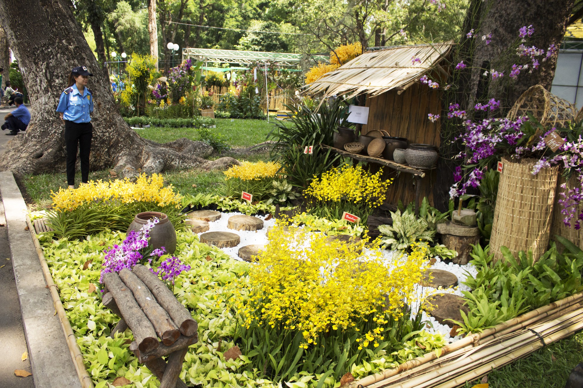 Hàng trăm nghìn chậu hoa khoe sắc tại Festival Hoa Lan TP HCM 2019 - Ảnh 11. Hàng trăm nghìn chậu hoa khoe sắc tại Festival Hoa Lan TP HCM 2019 - Ảnh 11.