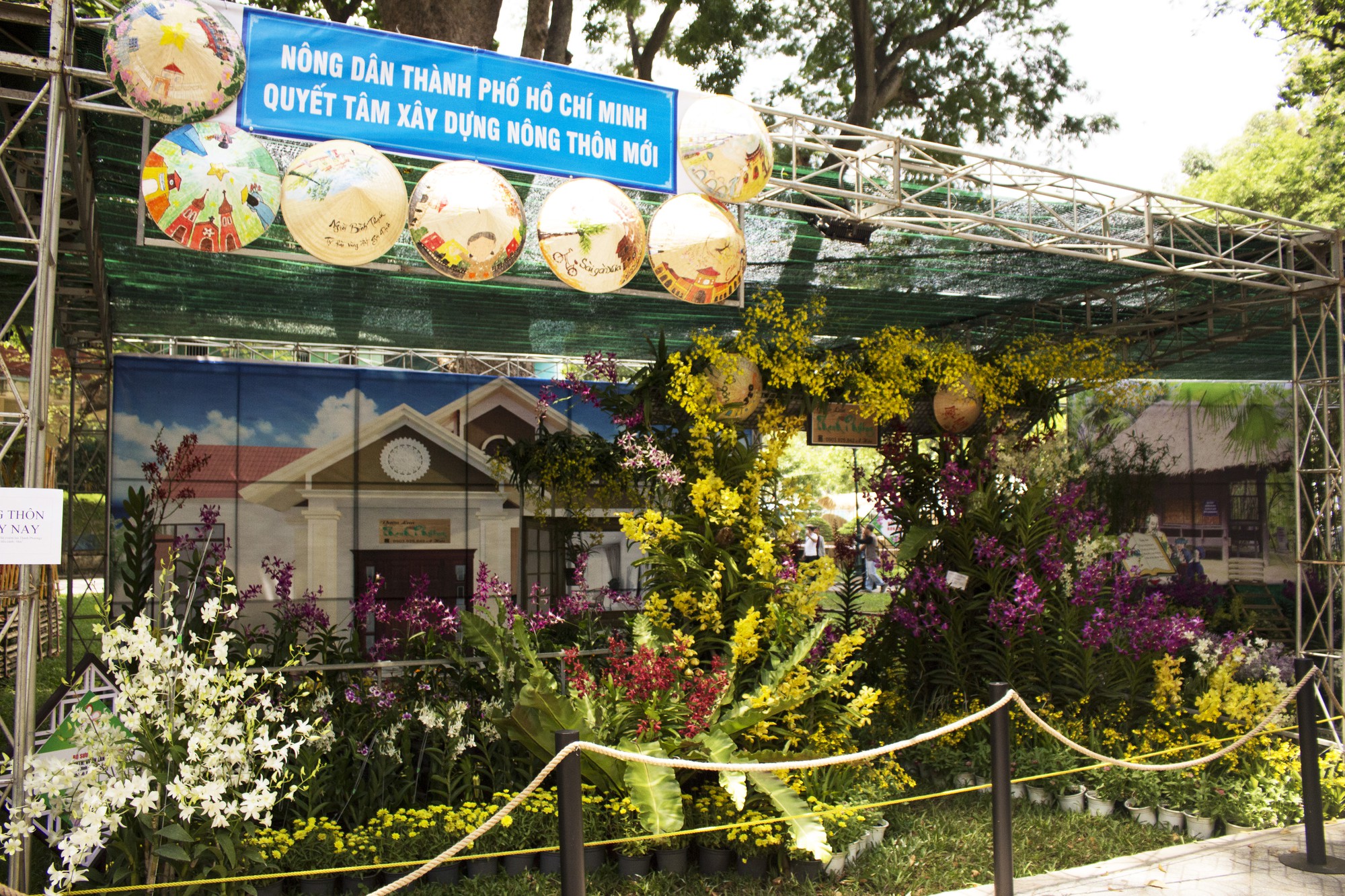 Hàng trăm nghìn chậu hoa khoe sắc tại Festival Hoa Lan TP HCM 2019 - Ảnh 12. Hàng trăm nghìn chậu hoa khoe sắc tại Festival Hoa Lan TP HCM 2019 - Ảnh 12.
