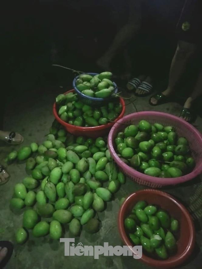 Mưa đá to như nắm tay trút xuống Yên Bái, nhiều nhà dân hư hỏng - Ảnh 5. Mưa đá to như nắm tay trút xuống Yên Bái, nhiều nhà dân hư hỏng - Ảnh 5.