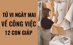 Tử vi ngày mai (28/4/2019) về công việc của 12 con giáp: Tuổi Mùi ngập tràn ý tưởng