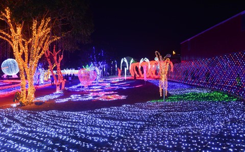 Cảnh dẫm đạp bóng đèn trang trí tại công viên ánh sáng vừa khai trương - Ảnh 10.