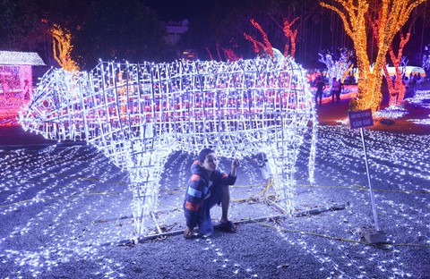 Cảnh dẫm đạp bóng đèn trang trí tại công viên ánh sáng vừa khai trương - Ảnh 2.