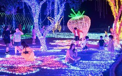 Cảnh dẫm đạp bóng đèn trang trí tại công viên ánh sáng vừa khai trương