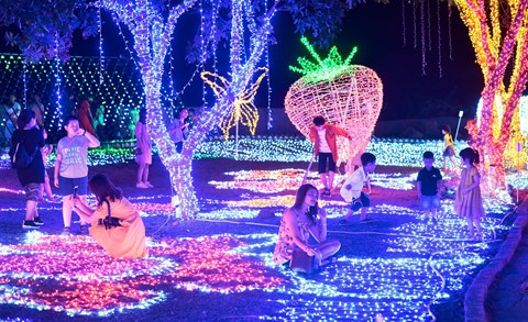 Cảnh dẫm đạp bóng đèn trang trí tại công viên ánh sáng vừa khai trương - Ảnh 3.