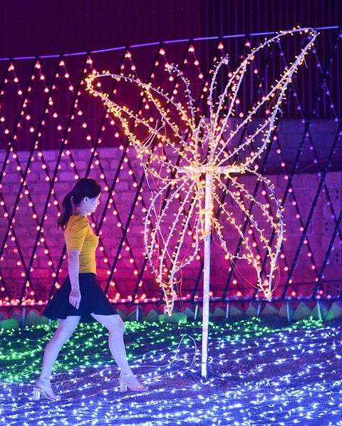 Cảnh dẫm đạp bóng đèn trang trí tại công viên ánh sáng vừa khai trương - Ảnh 4.