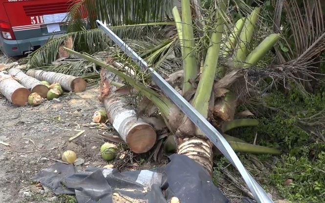 Chuyên cơ mặt đất lao vào nhà dân, 20 hành khách đau tim - Ảnh 6. Chuyên cơ mặt đất lao vào nhà dân, 20 hành khách đau tim - Ảnh 6.
