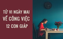 Tử vi ngày mai (30/4/2019) về công việc của 12 con giáp: Tuổi Dậu cống hiến hết mình