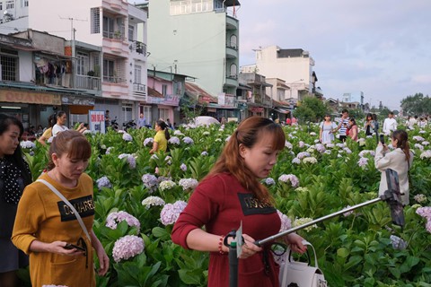 Cảnh người ngắm người ở các điểm đến nổi tiếng của Đà Lạt - Ảnh 4. Cảnh người ngắm người ở các điểm đến nổi tiếng của Đà Lạt - Ảnh 4.