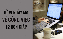 Tử vi ngày mai (2/5/2019) về công việc của 12 con giáp: Tuổi Hợi có 'cạ' mới nơi công sở