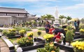 Cách chuẩn bị mâm cúng tạ mộ dịp Tết Thanh minh đầy đủ nhất