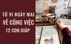 Tử vi ngày mai (6/4/2019) về công việc của 12 con giáp: Tuổi Hợi tôn trọng những ranh giới