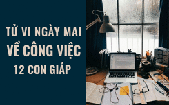 Tử vi ngày mai (8/4/2019) về công việc của 12 con giáp: Tuổi Sửu dám nghĩ dám làm