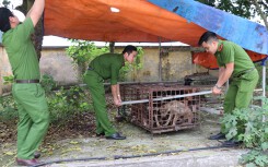 Vụ bé trai 7 tuổi bị chó hung dữ cắn tử vong ở Hưng Yên: Đàn chó đã bị bắt nhốt