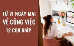 Tử vi ngày mai (10/4/2019) về công việc của 12 con giáp: Tuổi Mão đi tìm tiếng nói chung