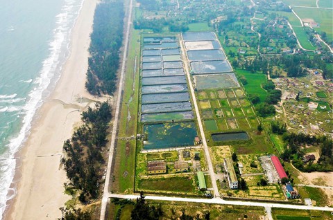 Trung tâm thực nghiệm 32 tỉ hoang phế - Ảnh 1.