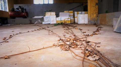 Trung tâm thực nghiệm 32 tỉ hoang phế - Ảnh 10.