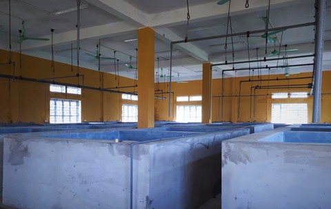 Trung tâm thực nghiệm 32 tỉ hoang phế - Ảnh 12.