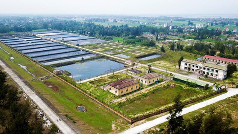 Trung tâm thực nghiệm 32 tỉ hoang phế - Ảnh 2.