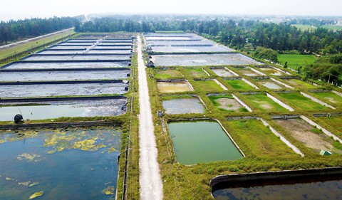 Trung tâm thực nghiệm 32 tỉ hoang phế - Ảnh 4.
