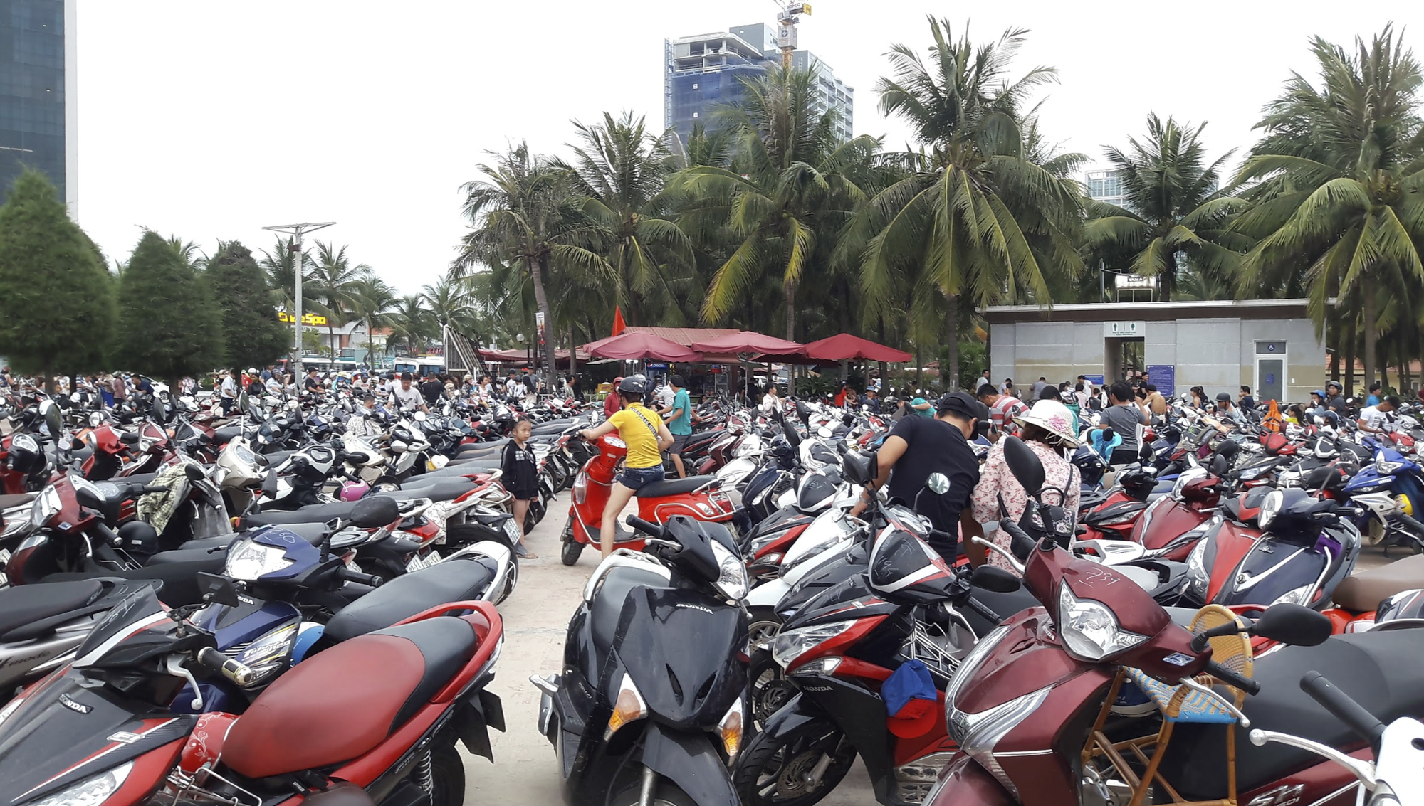 Đà Nẵng làm quảng trường kết hợp bãi đậu xe khủng hơn 4.000m2 - Ảnh 1. Đà Nẵng làm quảng trường kết hợp bãi đậu xe khủng hơn 4.000m2 - Ảnh 1.