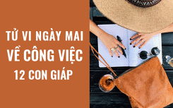 Tử vi ngày mai (11/5/2019) về công việc của 12 con giáp: Tuổi Thân bình tĩnh trong mọi trường hợp