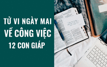 Tử vi ngày mai (12/5/2019) về công việc của 12 con giáp: Tuổi Dậu bình thản và lạnh lùng trong kinh doanh