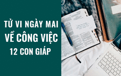 Tử vi ngày mai (12/5/2019) về công việc của 12 con giáp: Tuổi Dậu bình thản và lạnh lùng trong kinh doanh