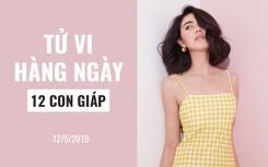 Tử vi hàng ngày (12/5/2019): 6 điều nên và không nên của 12 con giáp