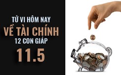 Tử vi hôm nay (11/5/2019) về tài chính của 12 con giáp: Tuổi Thân buông tay đúng lúc