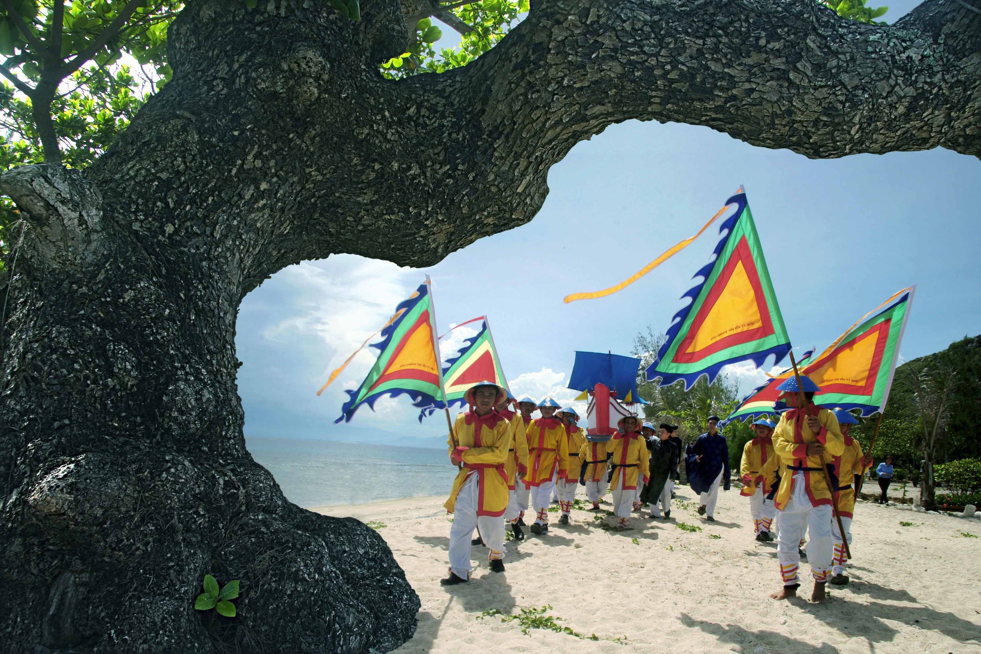 Khám phá nghề khai thác yến sào tại Festival Biển 2019 - Ảnh 10. Khám phá nghề khai thác yến sào tại Festival Biển 2019 - Ảnh 10.