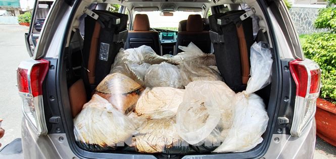 Vì sao lô 500kg ma túy từ Quảng Ninh lọt vào tới TP HCM? - Ảnh 1. Vì sao lô 500kg ma túy từ Quảng Ninh lọt vào tới TP HCM? - Ảnh 1.