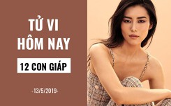 Tử vi hôm nay (13/5/2019) của 12 con giáp: Tuổi Dậu tăng cường giao tiếp trực tiếp