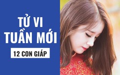 Tử vi tuần mới (13/05 - 19/05) của 12 con giáp: Tuổi Dần trở mình vươn tầm vóc