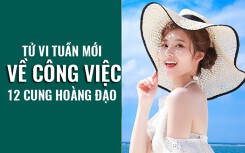 Tử vi tuần mới (13/5 – 19/5) về công việc của 12 cung hoàng đạo: Cự Giải thăng hoa
