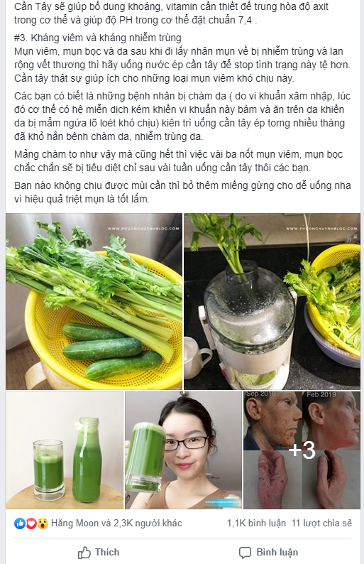 Giải mã nguyên nhân khiến nước ép cần tây đang trở thành trào lưu được nhiều người yêu thích - Ảnh 2. Giải mã nguyên nhân khiến nước ép cần tây đang trở thành trào lưu được nhiều người yêu thích - Ảnh 2.