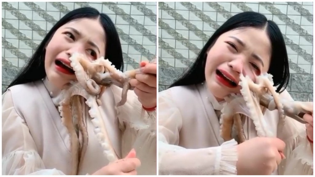 Nữ streamer suýt rách mặt khi quay clip ăn bạch tuộc sống - Ảnh 1.