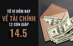 Tử vi hôm nay (14/5/2019) về tài chính của 12 con giáp: Tuổi Hợi làm giàu bằng tài năng thiên bẩm