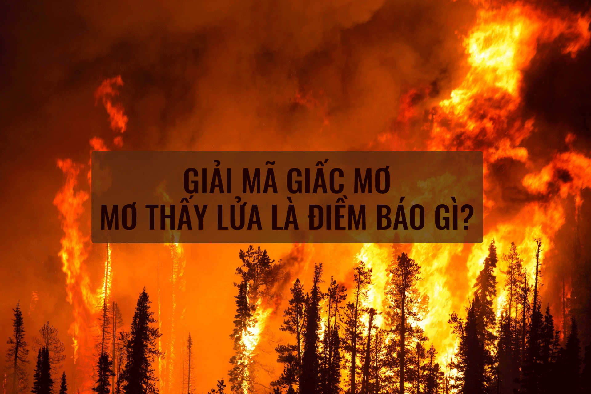 Giải mã giấc mơ: Mơ thấy lửa là điềm báo gì? - Ảnh 1. Giải mã giấc mơ: Mơ thấy lửa là điềm báo gì? - Ảnh 1.