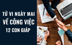 Tử vi ngày mai (15/5/2019) về công việc của 12 con giáp: Tuổi Tý phân vân