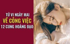 Tử vi ngày mai (15/5) về công việc của 12 cung hoàng đạo: Sư Tử gặp thách thức