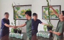 Đại gia Hà Tĩnh ra Hải Phòng mua 2 chậu lan 3,5 tỉ đồng: Có phải đóng thuế không?